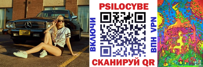 закладка  Гвардейск  Псилоцибиновые грибы Magic Shrooms 